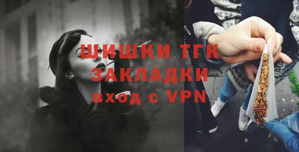 сатива Балахна