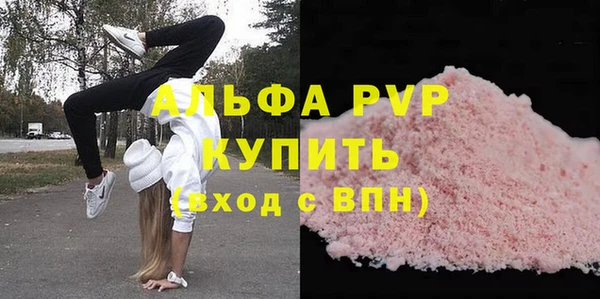 сатива Балахна