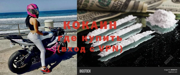 сатива Балахна