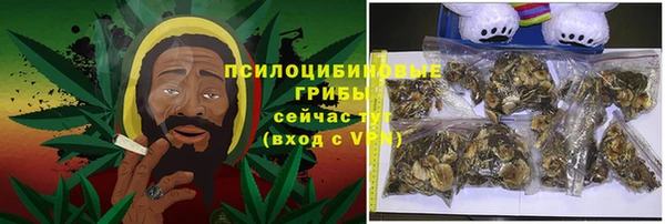 сатива Балахна